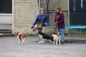 IMG_3448