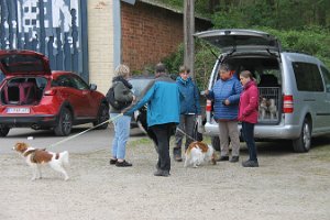 IMG_3449