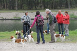 IMG_3450