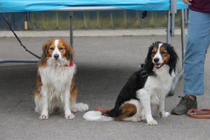IMG_3452