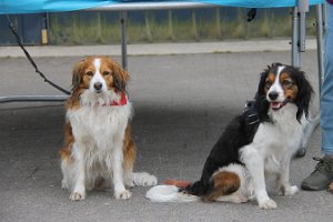IMG_3453