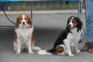 IMG_3454