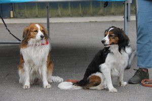 IMG_3455