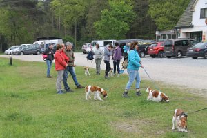 IMG_3457