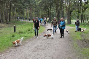 IMG_3458