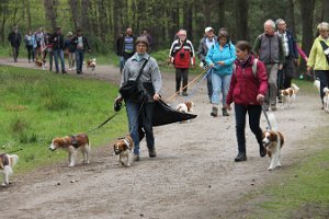 IMG_3461