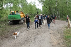 IMG_3468