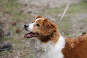 IMG_3475