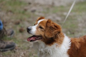 IMG_3476