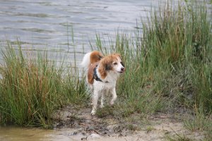 IMG_3482