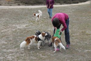 IMG_3485