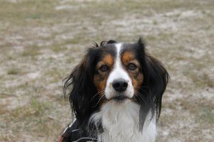 IMG_3487
