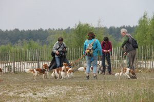 IMG_3489