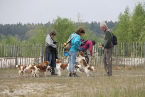 IMG_3490