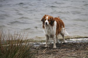 IMG_3492