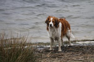 IMG_3493