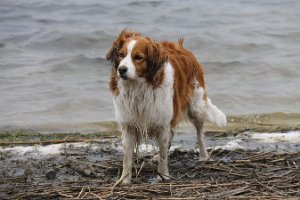 IMG_3494