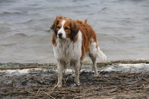 IMG_3495