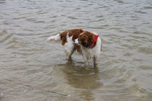 IMG_3498
