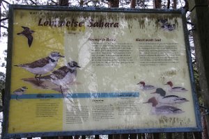 IMG_3500