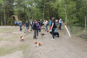 IMG_3502