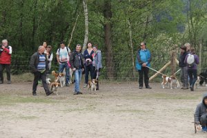 IMG_3506