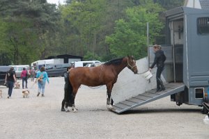 IMG_3516