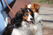 IMG_1477