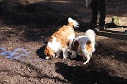 IMG_1482