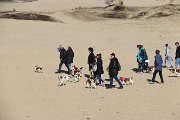 IMG_1483