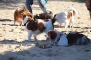 IMG_1484