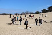 IMG_1486