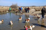 IMG_1489