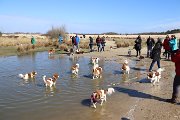 IMG_1490