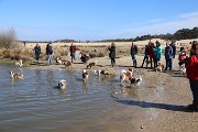 IMG_1491