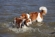 IMG_1492