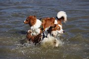 IMG_1493