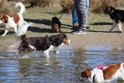 IMG_1494