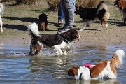IMG_1495
