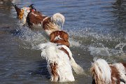 IMG_1496