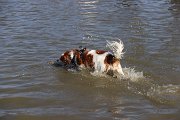 IMG_1497