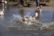 IMG_1498