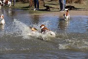 IMG_1499