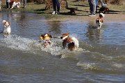 IMG_1500