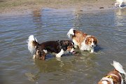IMG_1501