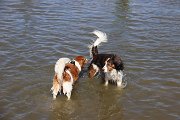IMG_1502