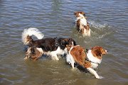 IMG_1503