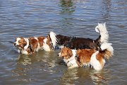 IMG_1504