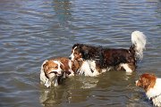 IMG_1505