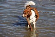 IMG_1507